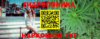Альфа ПВП Тверь
