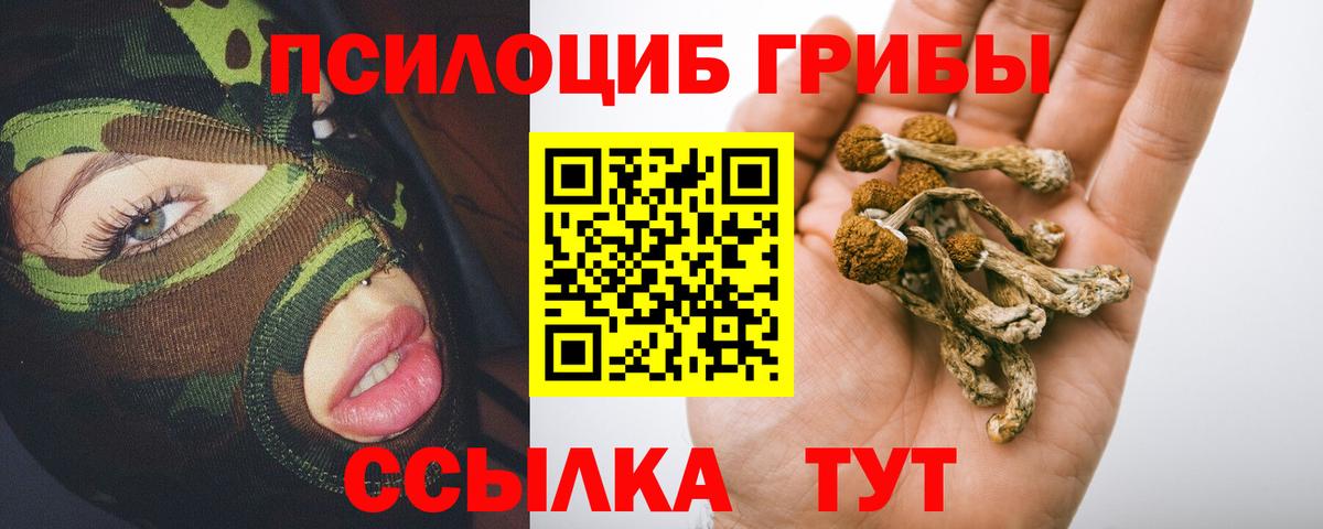 Нижнеудинск  Псилоцибиновые грибы Cubensis  Вход с VPN 